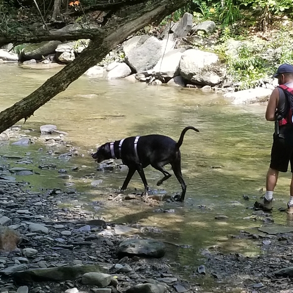 Meet your Posher, Jennifer - Picture 2 of 2